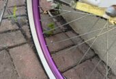 Vélo Schwinn Delmar Femme