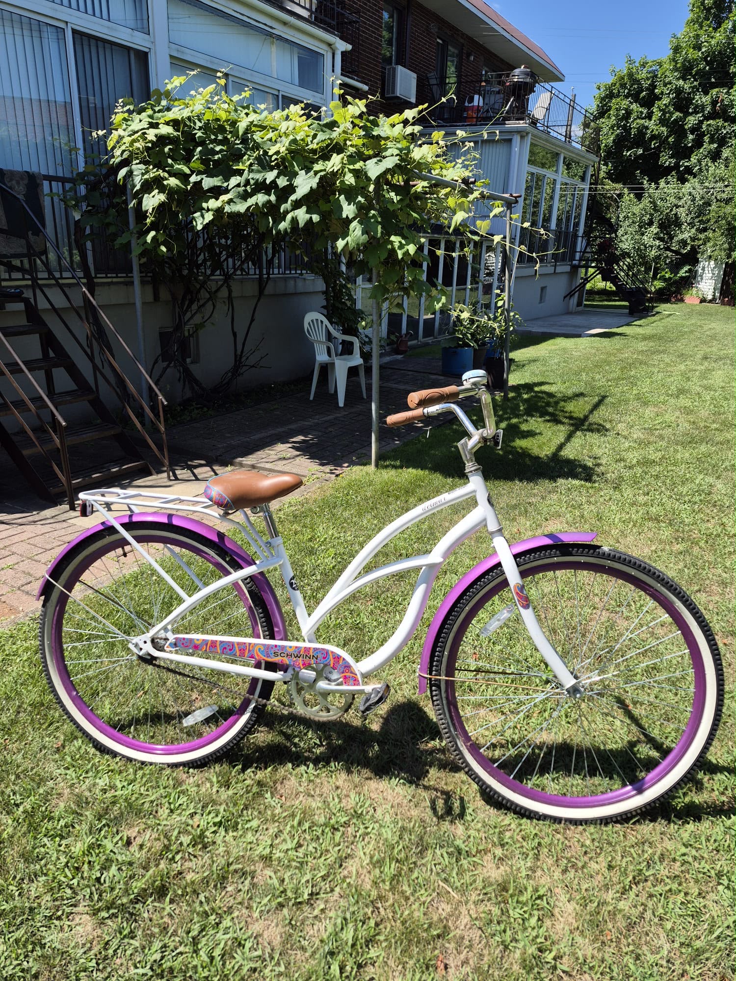 Vélo Schwinn Delmar Femme