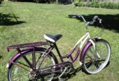 Vélo Schwinn Sanctuary 7 Femme